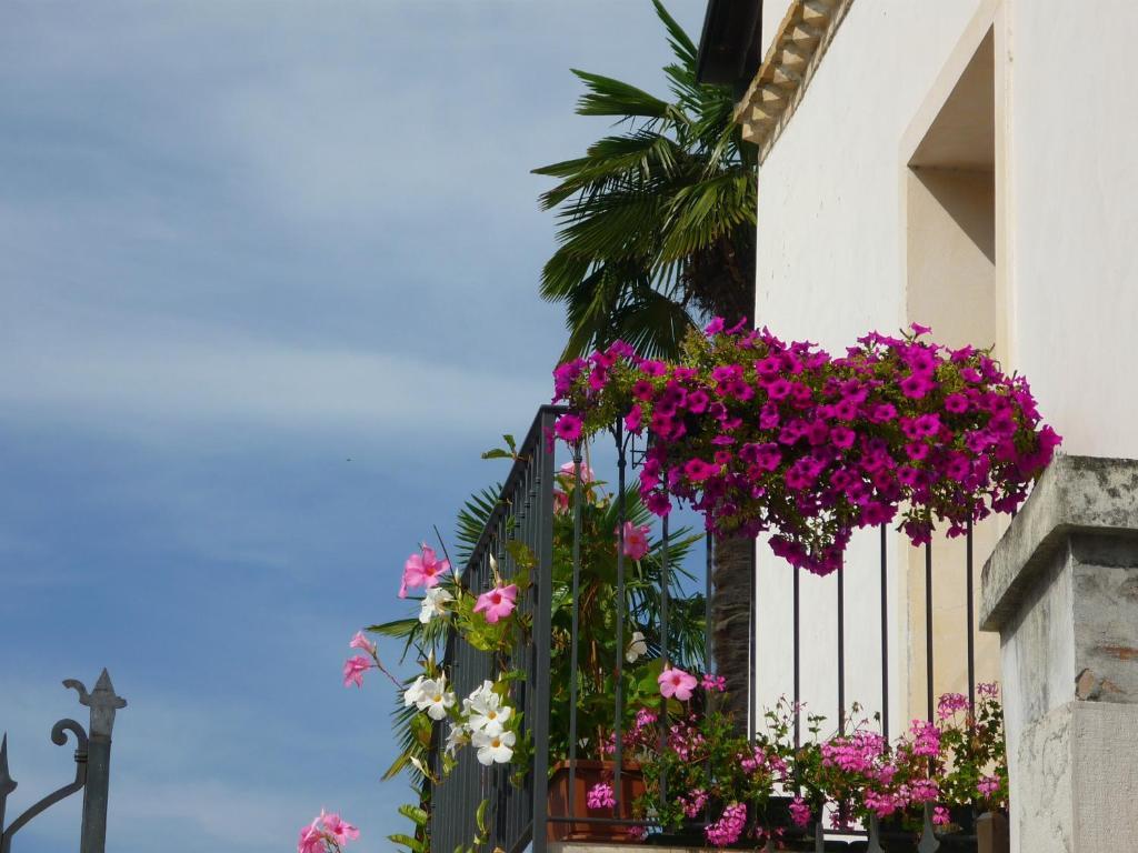 Hotel In Sylvis Sesto al Reghena Ngoại thất bức ảnh